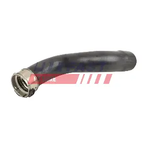 FT10787 FAST