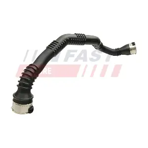 FT65119 FAST