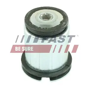 FT18291 FAST