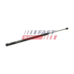 FT94809 FAST