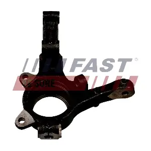 FT13511 FAST