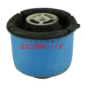 FT18069 FAST