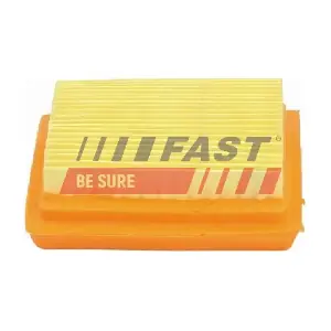 FT37178 FAST