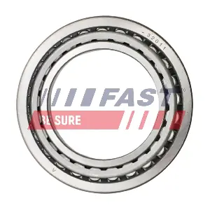 FT66303 FAST