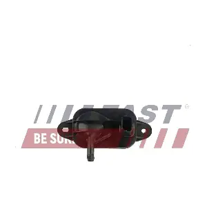 FT54302 FAST