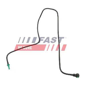 FT00736 FAST