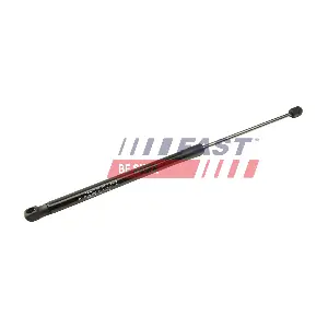 FT00208 FAST