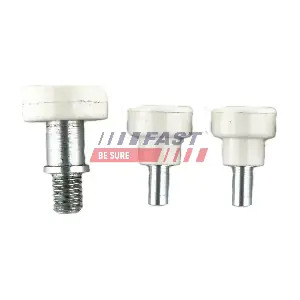 FT95536 FAST