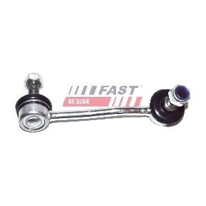 FT20591 FAST