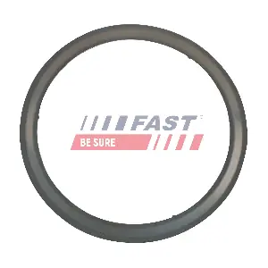 FT84595 FAST