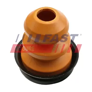 FT18121 FAST