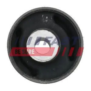 FT18087 FAST
