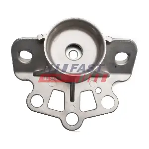 FT12231 FAST