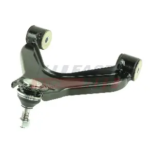 FT15039 FAST