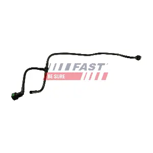 FT61119 FAST