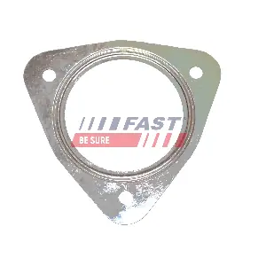 FT49544 FAST
