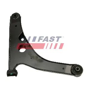 FT15029 FAST