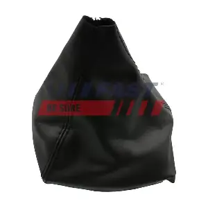 FT09027 FAST