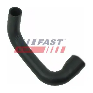 FT61958 FAST