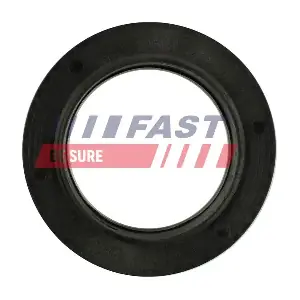 FAST FT12091