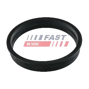 FT48505 FAST