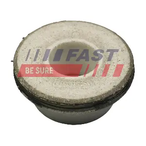 FT18067 FAST