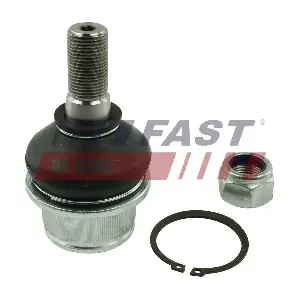 FT17119 FAST
