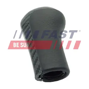 FAST FT00095