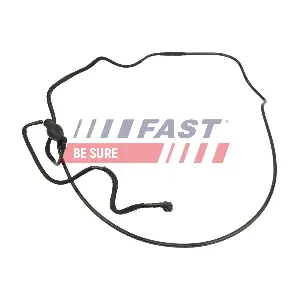 FT00909 FAST