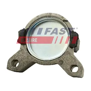 FT52217 FAST