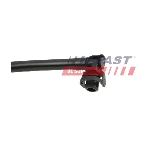 FT01006 FAST