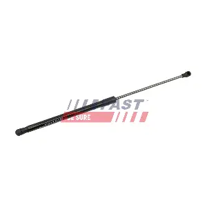 FT00181 FAST