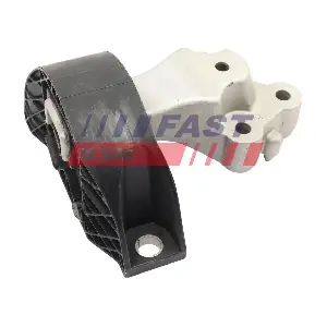 FT10309 FAST