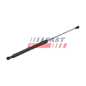 FT00201 FAST