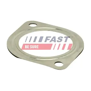 FT84813 FAST