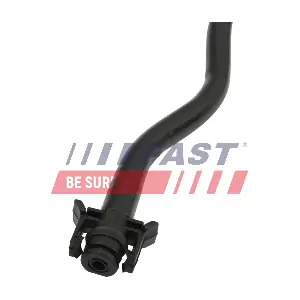 FT00993 FAST