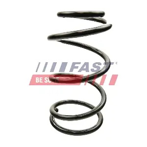 FT12291 FAST