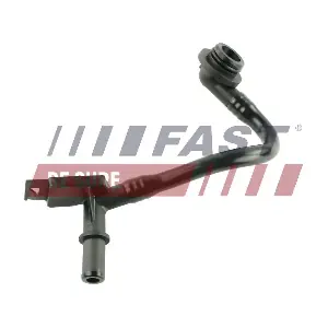 FT61963 FAST