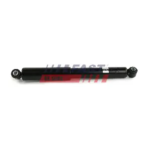 FT11243 FAST