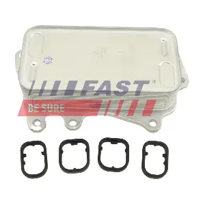FT01017 FAST