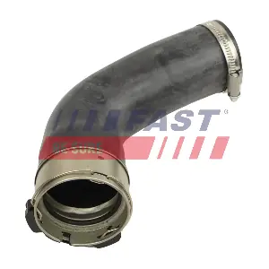 FT01086 FAST