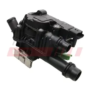 FT58055 FAST