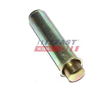 FT44081 FAST