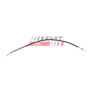 FT69029 FAST