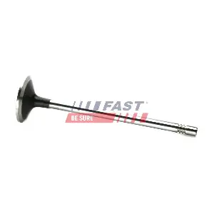 FT50133 FAST
