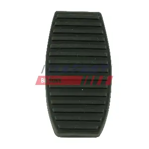 FT13068 FAST