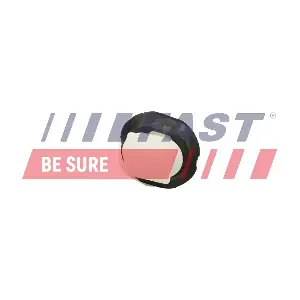 FT96300 FAST