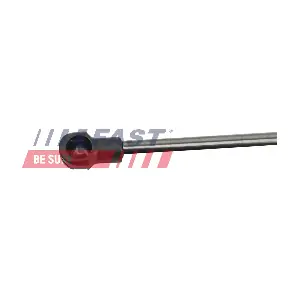 FT00193 FAST