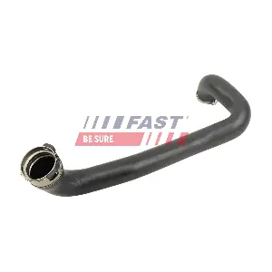 FT10498 FAST
