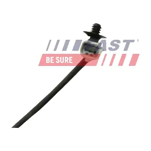 FT80268 FAST